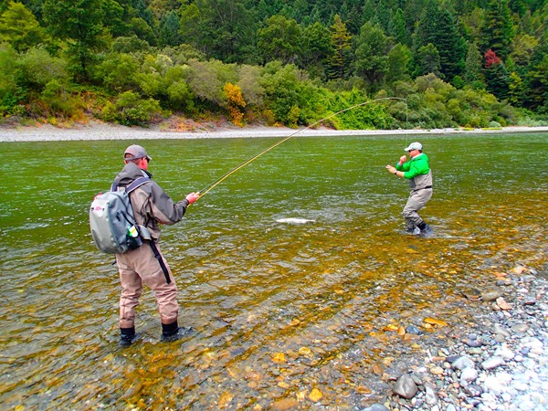 Dax Messett helps land a steelhead