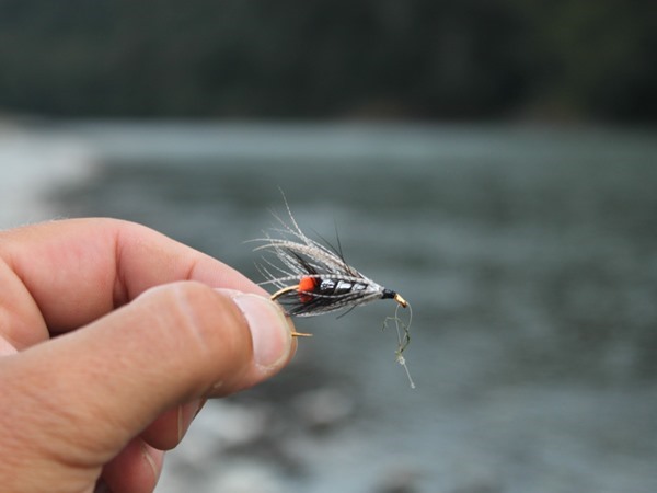 A traditional steelhead fly